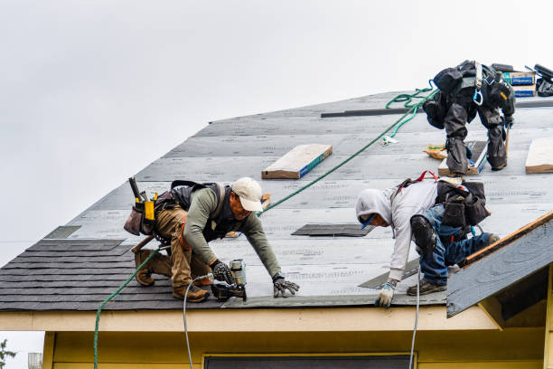 Professional Roofing technician working in New London, OH